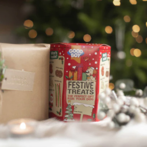 festive treats gift box for dogs