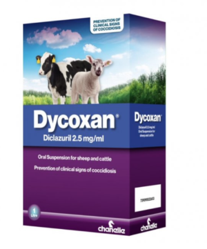 dycoxan oral solution for worming calves and lambs