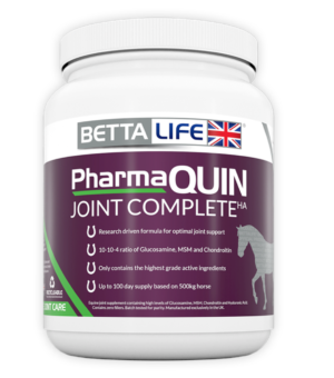 bettalife joint supplement for horses