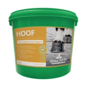 global herbs hoof supplement for horses