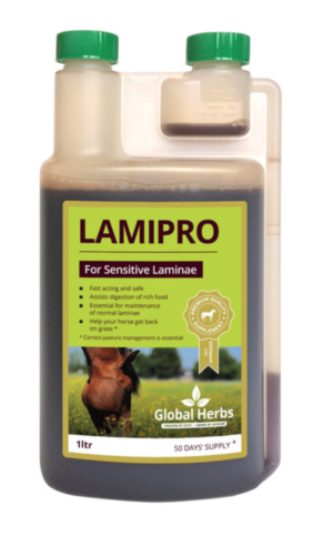 global herbs lamipro liquid supplement for horses