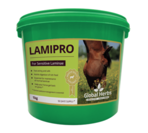 global herbs lamipro supplement for horses