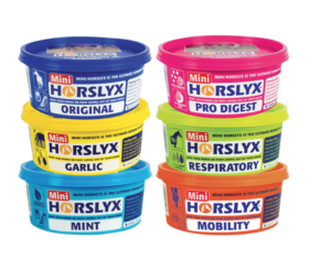 minihorslyx horse treats