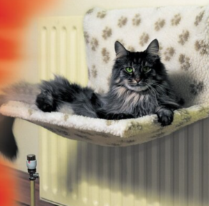 kumfy kradle radiator bed for cat