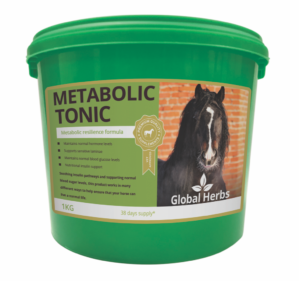 global herbs metabolic tonic for horses