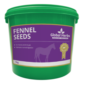 global herbs fennels seeds 1kg tub or horses
