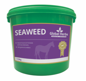 global herbs seaweed supplement for horses