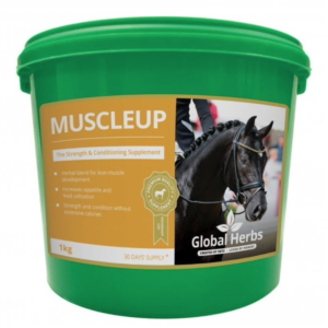 global herbs muscle up muscle supplement for horses