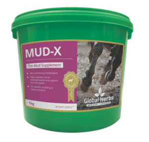 global herbs mud-x supplement for horses
