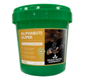 global herbs alphabute super joint supplement for horses
