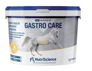 gastrocare supplement for horses