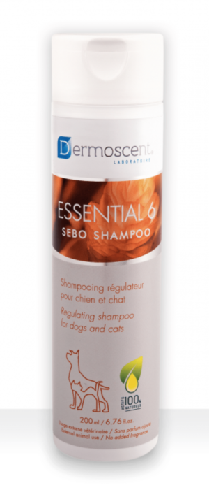 dermoscent essential 6 shampoo for cats and dogs