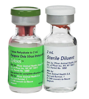 zylexis injections for horses
