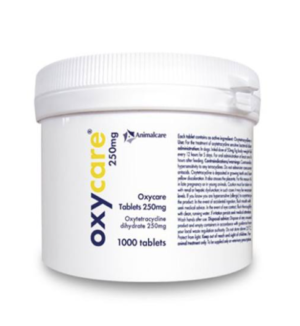 oxycare antibiotic tablets for dogs