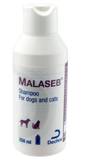 malaseb medicated shampoo for dogs