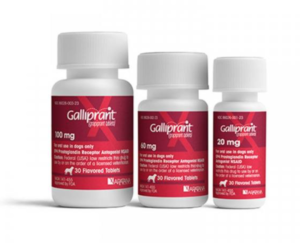 bottle of galliprant for treatment of osteoarthritis in dogs