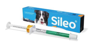 tube sileo oromucosal gel for dogs