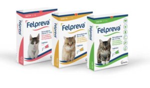 packs of felpreva for a variety of size of cat. Helps treat fleas, ticks and worms in cats