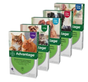packs of advantage spot on for dogs, cat and rabbits