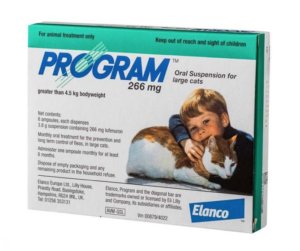 pack of 6 program suspension for large cats.