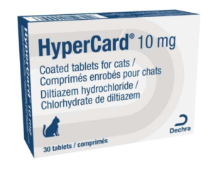 pack of hypercard for cats