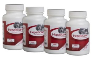 variety of capsule strengths of hepaticare liver support supplement for dogs and cats.