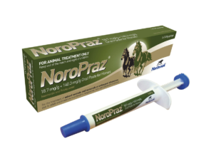 tube of noropraz horse wormer