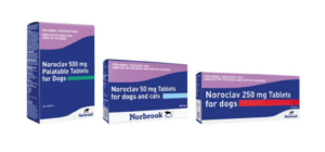 packs of noroclav antibiotic tablets for cats and dogs
