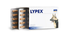 pack of 60 lypex pancreatic enzyme capsules for dogs