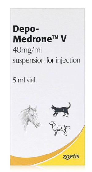 bottle of depomedrone injectable steroid for dogs cats and horses