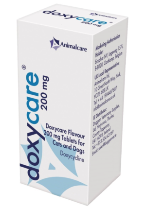 bottle of doxycare flavoured tablets for dogs and cats