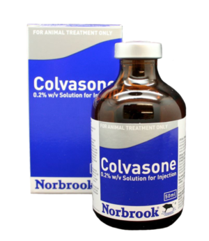 bottle of colvasone solution for injection