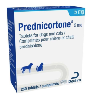 pack of 5mg prednicortone tablets for dogs and cats