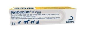 tube of ophtocycline 10mg/g eye ointment for dogs, cats and horses