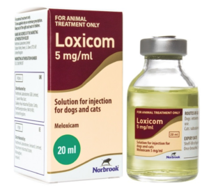 loxicom injection for dogs and cats 20 ml bottle