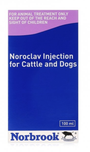 bottle of noroclav injection for cattle and dogs