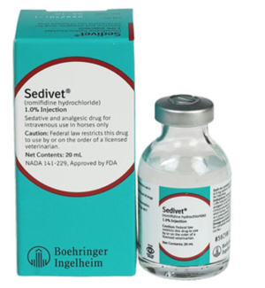 bottle of sedivet sedative for horses
