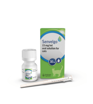 bottle of senvelgo for treatment of diabetes mellitus in cats
