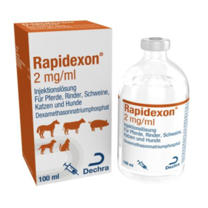 100ml bottle of rapidexon injection