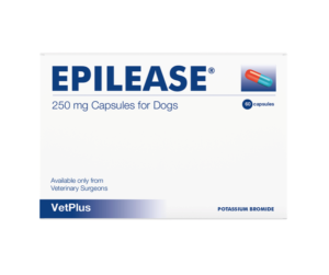 pack of 60 250mg epilease capusles