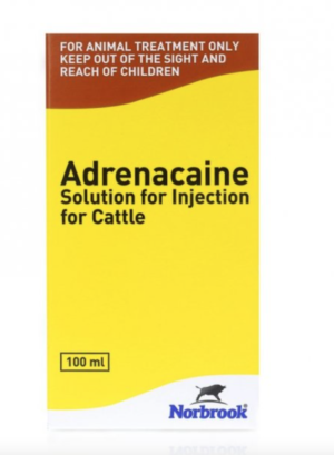 100ml bottle of adrenaline injection for cattle