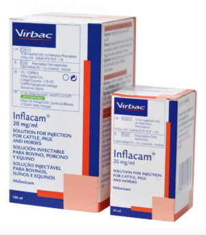 bottle of inflacam injection for cattle pigs and horses