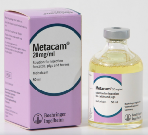 bottle of metacam injection for cattle, pigs and horses