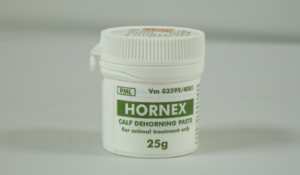 tub of hornex paste for disbudding calves