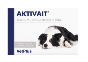 pack of aktivait capsules for cognitive decline in dogs