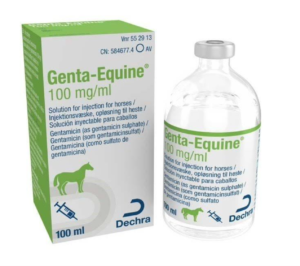 100ml bottle of genta equine injection for horses