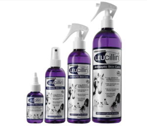 packs of leucillin antiseptic spray for animals