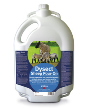 bottle of dysect pour on cattle for sheep