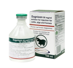 100ml bottle of dugnixon for cattle, horses and pigs
