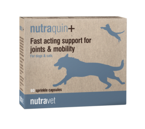 nutraquin + joint supplement for dogs cats and horses